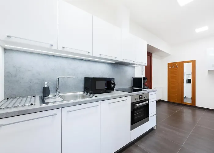 Roof Apartment *